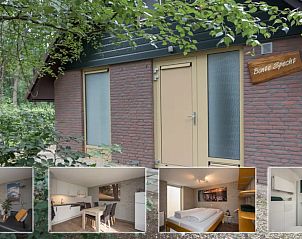 Verblijf 436062 - Vakantiewoning Noordoost Brabant - 4-persoons Lodges