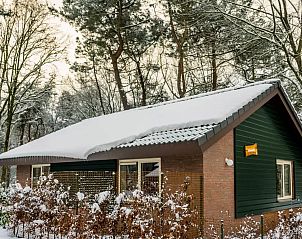 Verblijf 436065 - Bungalow Noordoost Brabant - 4-persoons Bosvilla All Electric