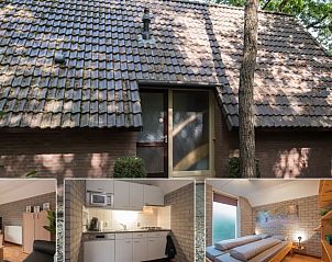 Verblijf 436067 - Vakantiewoning Noordoost Brabant - 4-persoons Lodges Plus