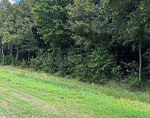 Unterkunft 436201 - Ferienhaus Noordoost Brabant - Vakantiehuis in Son