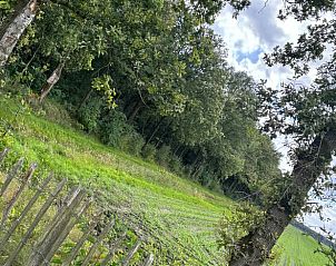 Unterkunft 436201 - Ferienhaus Noordoost Brabant - Vakantiehuis in Son