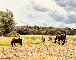 Unterkunft 436201 - Ferienhaus Noordoost Brabant - Vakantiehuis in Son
