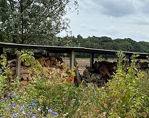 Unterkunft 436201 - Ferienhaus Noordoost Brabant - Vakantiehuis in Son