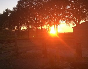 Unterkunft 436201 - Ferienhaus Noordoost Brabant - Vakantiehuis in Son