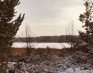 Unterkunft 436201 - Ferienhaus Noordoost Brabant - Vakantiehuis in Son
