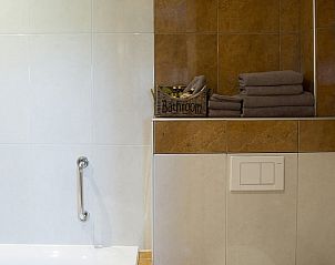 Badkamer in Huisje in Vierlingsbeek, Noordoost Brabant, met zachte handdoeken en moderne voorzieningen.