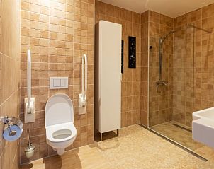 Ruime badkamer in Huisje in Vierlingsbeek, Noord Brabant, met inloopdouche en moderne faciliteiten.