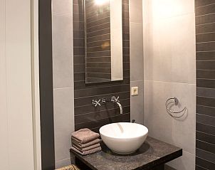 Elegante wastafel in Huisje in Vierlingsbeek, Noord Brabant, met moderne accessoires en sfeervolle inrichting.