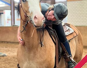 Verblijf 436403 - Vakantiewoning Noordoost Brabant - Vakantiehuis in Ledeacker