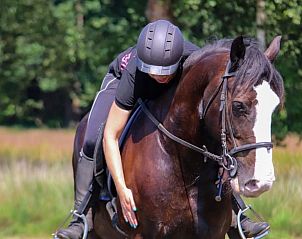 Verblijf 436403 - Vakantiewoning Noordoost Brabant - Vakantiehuis in Ledeacker