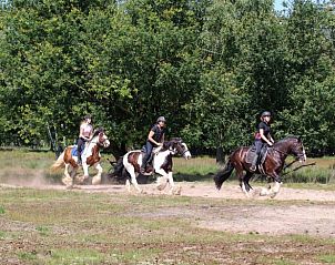 Verblijf 436403 - Vakantiewoning Noordoost Brabant - Vakantiehuis in Ledeacker