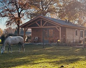 Rustiek vakantiehuisje in Ledeacker, Noordoost Brabant, omgeven door natuur met grazend paard op de voorgrond, perfect voor een ontspannen verblijf.
