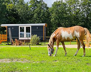 Verblijf 436405 - Vakantiewoning Noordoost Brabant - Huisje in Ledeacker