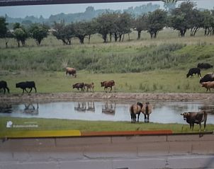 Unterkunft 436801 - Ferienhaus Noordoost Brabant - Vakantiehuisje in Keent