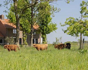Unterkunft 436802 - Ferienhaus Noordoost Brabant - Huisje in Keent