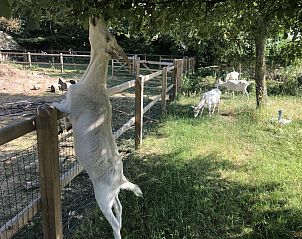 Verblijf 436902 - Vakantiewoning Noordoost Brabant - NB204