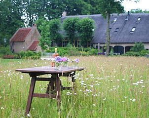 Guest house 440105 - Holiday property West Brabant - Huisje in Breda