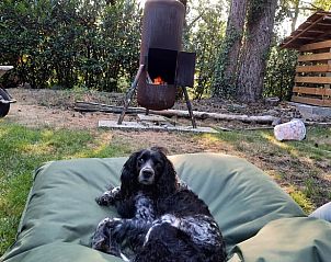 Guest house 440111 - Holiday property West Brabant - Vakantiehuis in Breda