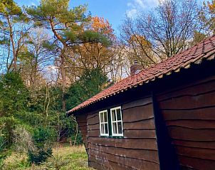 Zijaanzicht van Vakantiehuis in Bergen op Zoom in een bosrijke omgeving.