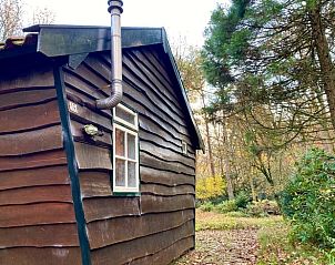 Achterzijde van Vakantiehuis in Bergen op Zoom met groene omgeving en bomen.