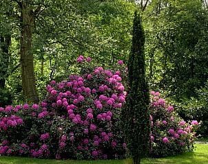 Unterkunft 440302 - Ferienhaus West Brabant - Vakantiehuis in Ossendrecht
