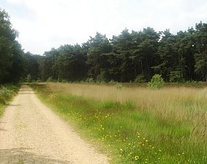 Unterkunft 440302 - Ferienhaus West Brabant - Vakantiehuis in Ossendrecht