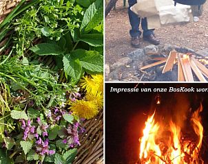 Unterkunft 440306 - Ferienhaus West Brabant - Vakantiehuis in Ossendrecht