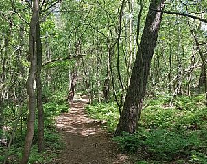 Unterkunft 440306 - Ferienhaus West Brabant - Vakantiehuis in Ossendrecht