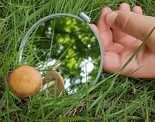 Unterkunft 440306 - Ferienhaus West Brabant - Vakantiehuis in Ossendrecht