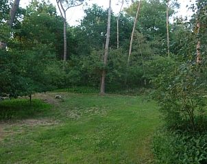 Unterkunft 440307 - Ferienhaus West Brabant - Huisje in Ossendrecht