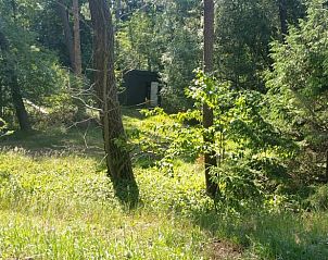 Unterkunft 440307 - Ferienhaus West Brabant - Huisje in Ossendrecht