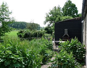Terras met groene planten bij Vakantiehuisje in Waspik, West Brabant, ideaal voor ontspanning.