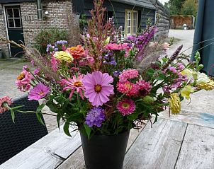 Bloemenpracht op het terras van Vakantiehuisje in Waspik, West Brabant, kleurrijke sfeer.