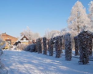 Winterlandschap bij Vakantiehuisje in Waspik, West Brabant, met besneeuwde bomen.