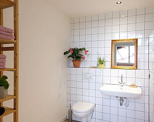 Badkamer met planten in Vakantiehuisje in Gilze, West Brabant, Noord Brabant.