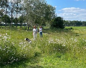 Wandelen in de natuur bij Vakantiehuisje in Gilze, West Brabant, Noord Brabant.