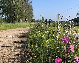 Landweggetje met bloemen bij Vakantiehuisje in Gilze, West Brabant, Noord Brabant.