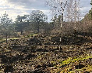Bosrijke omgeving van Vakantiehuisje in Gilze, West Brabant, Noord Brabant.