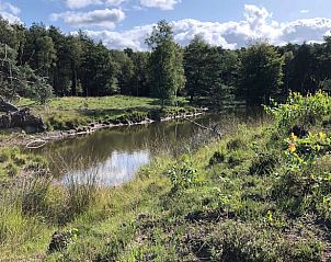 Natuurlijke vijver in de buurt van Vakantiehuisje in Gilze, West Brabant, Noord Brabant.