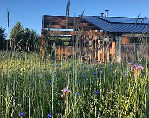 Natuurrijke omgeving bij Vakantiehuis in Gilze in West Brabant, omringd door wilde bloemen in Noord Brabant.