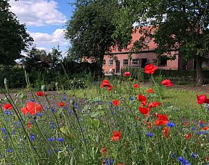 Bloeiende tuin rondom Vakantiehuis in Gilze in West Brabant, met zicht op de natuur in Noord Brabant.