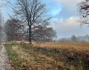 Herfstlandschap rondom Vakantiehuis in Gilze, West Brabant, met kleurrijke bomen in Noord Brabant.