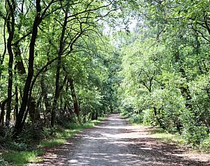 Guest house 441409 - Holiday property West Brabant - Huisje in Rucphen