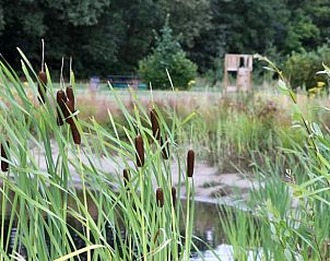 Guest house 441409 - Holiday property West Brabant - Huisje in Rucphen