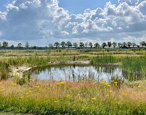 Guest house 441409 - Holiday property West Brabant - Huisje in Rucphen