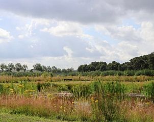 Guest house 441409 - Holiday property West Brabant - Huisje in Rucphen