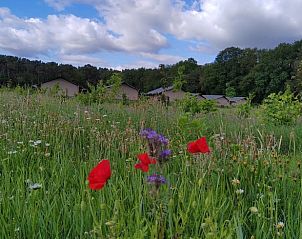 Guest house 441409 - Holiday property West Brabant - Huisje in Rucphen