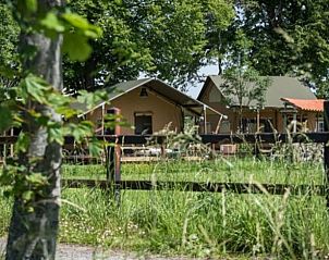 Verblijf 441508 • Vakantiewoning West Brabant • Uniek gelegen 5 persoons vakantiehuis in Drenthe 