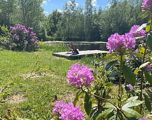 Unterkunft 441603 - Ferienhaus West Brabant - Vakantiehuis in Hoogerheide