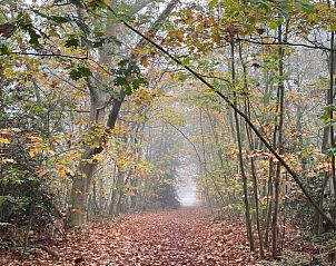 Unterkunft 441603 - Ferienhaus West Brabant - Vakantiehuis in Hoogerheide